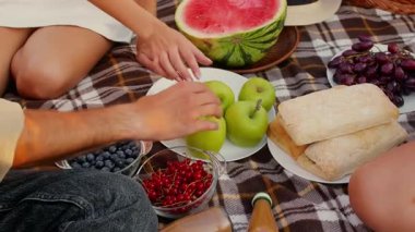 Arkadaşlar keyifli bir yaz pikniği için toplanır. Sıcak bir battaniyede taze elmalar, karpuz ve üzümlerden hoşlanırken lezzetli fırınlanmış yiyecekleri ve taze içecekleri paylaşıyorlar..
