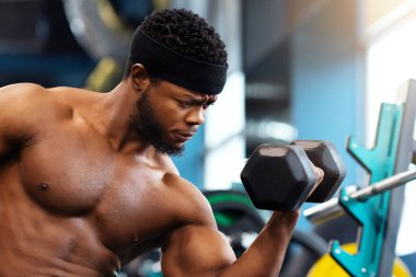 Konsantre Afro-Amerikan kaslı tişörtsüz erkek vücut geliştirici spor salonunda halterle egzersiz yapıyor, bankta oturuyor ve pazılara bakıyor, fotokopi çekiyor. Spor salonu, erkek spor salonu, fitness stüdyosu reklamı