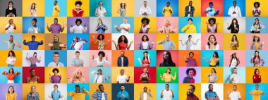 Her birinin kendine has ifadeleri ve tarzları olan canlı, farklı bireyler koleksiyonu, parlak arka planlara karşıdır..