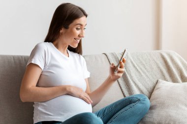 Evde akıllı telefon kullanan, oturma odasındaki kanepede dinlenen güzel hamile bir kadın. Hamilelik uygulamasını cep telefonuyla karıştırıp karnına şefkatle dokunan mutlu bir anne.