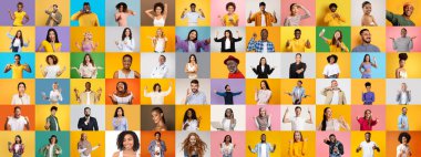 Bu canlı koleksiyonda çeşitli bireyler neşe ve güveni ifade ediyor..