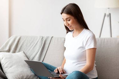 Evde dizüstü bilgisayarla rahatlayan, internetten alışveriş yapan hamile bir kadın. Oturma odasında koltukta otururken bilgisayar kullanan mutlu bir kadın.