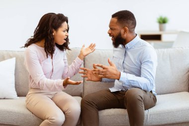 Kızgın bin yıllık siyah çift birbirine bağırıyor ve birbirlerini suçluyor. Stresli koca ve kızgın eş kötü ilişki hakkında tartışıyor, mutsuz genç aile kavramında tartışıyor ve kavga ediyor.