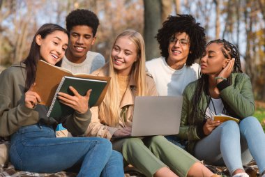 Grup projesi yapan çok ırklı öğrenciler, halk parkında birlikte çalışıyorlar.