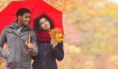 Sonbahar yürüyüşü. Parkta şemsiyesi olan, gezmekten ve bakmaktan hoşlanan Afro bir çift.