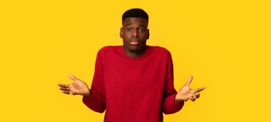 - Bilmiyorum. - Neden? Şüpheli Afrikalı Amerikalı Omuz silkmekte ve kollarını açmakta kararsız siyah adam ne yapacağına karar veremiyor, sarı stüdyonun arka planında tek başına duruyor, boşluğu kopyalıyor.