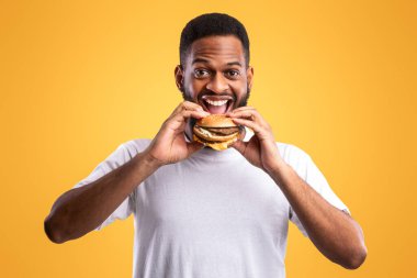 Sarı arka planda duran kameraya gülümseyen ve hamburger yiyen neşeli, aç Afrikalı adam. Stüdyo çekimi. Abur cubur yiyici çizburgerin tadını çıkarıyor. Fast food ve Hile Yemekleri