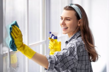 Lastik eldivenli güzel bir bayanın portresi. Evde deterjanıyla pencereyi temizliyor. Sevgili milenyum ev hanımı evini düzenli tutuyor, ev işlerini mutlu bir şekilde yapıyor, ev işlerinden zevk alıyor.