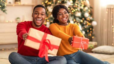 Kilit altında geçirilen yeni yılda dileklerin yerine getirilmesi. Gülen bin yıllık Afro-Amerikan erkek ve kadınları oturma odasında içinde Noel ağacı ve çelenklerle hediyeler ve kurdeleler olan kutular gösteriyorlar.