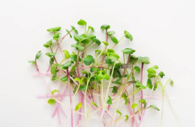 Mikro yeşiller beyaz arkaplanda izole edilmiş, kopyalama alanı, üst görünüm. Lahana filizleri, sağlıklı beslenme ve organik restoran reklamı.