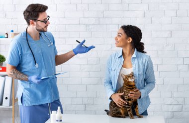 Veteriner muayenesi. Genç doktor hayvan hastanesinde kedi sahibiyle konuşuyor.