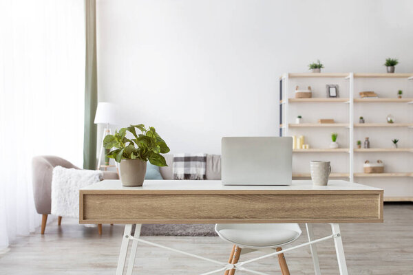 Home manager, freelance and remote worker at home. Couch with pillows, table with laptop and cup of tea, plant in pot, smartphone and notebook, shelves, armchair, gray wall in living room interior