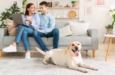 İnternette tur arayan ortakların portresi, tatiller için hazırlık, yerde yatan labrador.