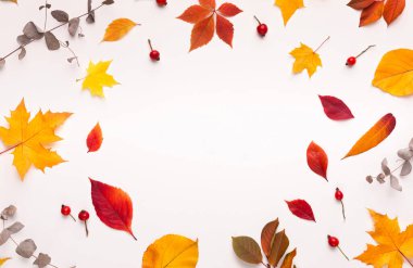 Beyaz arkaplanda promosyon için yuvarlak çerçeve oluşturan renkli yapraklar, kopyalama alanı