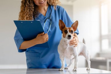 Dost canlısı gülüşü olan veteriner bir elinde pano tutarak klinikte rutin kontrollere hazırlanan küçük bir köpeği emniyete alıyor.