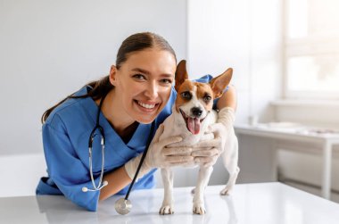 Mavi önlüklü, gülümseyen kadın veteriner. Kahverengi ve beyaz renkli neşeli bir köpek tutuyor ve muayene ediyor. Kliniğin içindeki kameraya bakıyor.