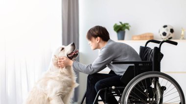 Köpeğiyle oynayan, Golden Retriever 'ı evde okşayan pozitif engelli bir ergen. Tekerlekli sandalyedeki neşeli, engelli genç, içeride hayvan arkadaşıyla arkadaşlık ediyor.