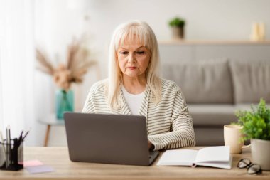 Web Sörf Konsepti. İç İşleri Bakanlığı 'nda dizüstü bilgisayarda çalışan Odaklanmış Yaşlı Kadın Portresi, Ücretsiz Kopya Alanı, Bulanık Özgeçmiş, Seçici Odaklanma. Uzaktan Çalışan Kadın, Klavyede Yazıyor