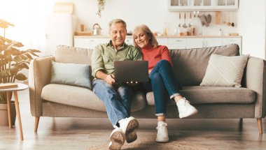 Üst Düzey Eşler Dizüstü bilgisayar kullanıyor. Birlikte film izliyorlar. Evde koltukta oturuyorlar. Yaşlı çift hafta sonları internette internette haberlere bakınıyor. Teknoloji ve Malzemeler