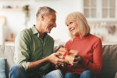 Kıdemli koca, karısına doğum gününde ya da yıl dönümünde evdeki koltukta otururken tebrik etmek için hediye kutusu veriyor. Evde ailecek geçirdiğimiz tatili kutlayan olgun bir çift. Romantik Mevcut Kavram