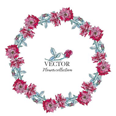 Çiçek bileşimlerinin vektör kümesi. Gül çiçekleri, sarı gül.