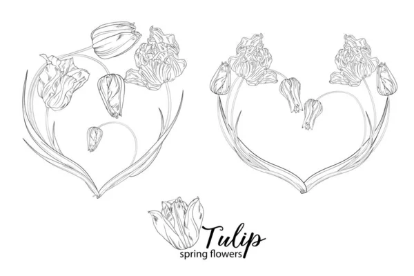Arreglos Florales Gráficos Con Flores Tulipán Flores Primavera — Archivo Imágenes Vectoriales
