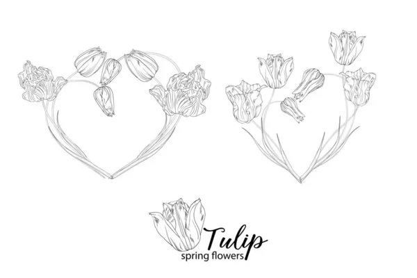 Grafische Bloemstukken Met Tulpenbloemen Voorjaarsbloemen — Stockvector