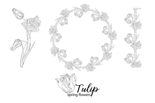 Arreglos Florales Gráficos Con Flores Tulipán Flores Primavera — Archivo Imágenes Vectoriales