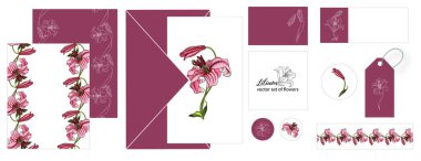 İçinde Lily çiçekleri olan kartpostallar.