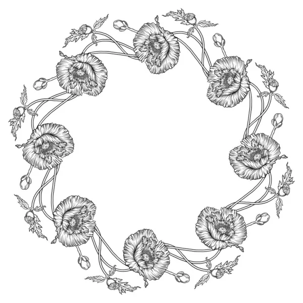 Graphische Blumenkomposition Mohnblüten Kranz — Stockvektor