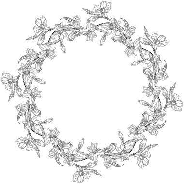 Güzel kır çiçekleri. Çiçekli grafik kompozisyonu. Grafik çiçek çelengi.