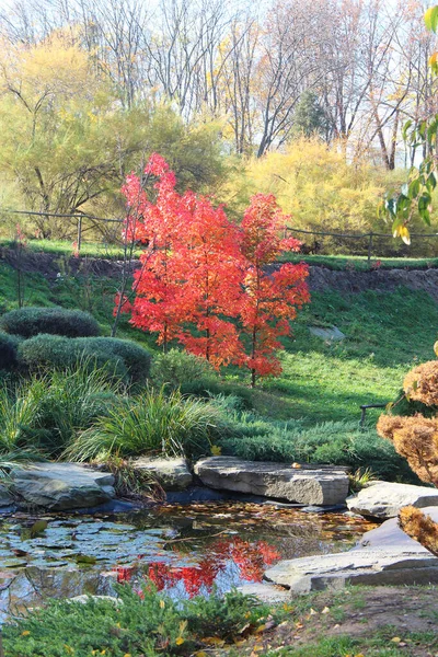 stock image picturesque corner of the botanical garden in early autumn