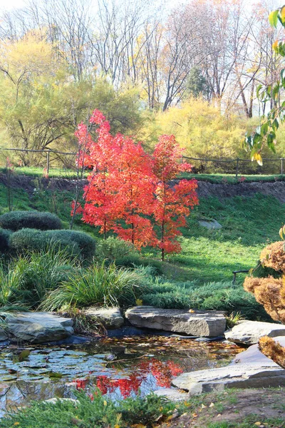 Canto Pitoresco Jardim Botânico Início Outono — Fotografia de Stock