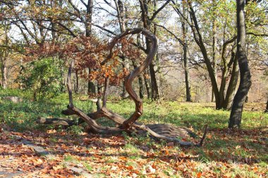 Şehir parkında süslü ağaç yılanı canavarı