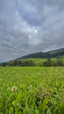 Santa Maddalena 'da, Val di Funes, yeşil bir çayır, narin çim çiçekleriyle bezenmiş, büyüleyici tepelerin arka planına doğru açılıyor, bu Alp köyünün manzaralı güzelliğini arttırıyor.