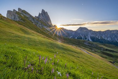 Seceda 'da altın gün doğumu, Dolomitler, nefes kesici bir manzara sergileniyor, sıcak renklerde çayırları yıkıyor, dingin ve ışıl ışıl bir sabah panoraması yaratıyor.