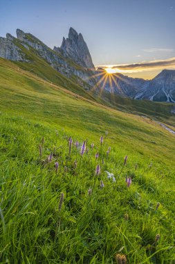 Seceda 'da altın bir gündoğumu, Dolomitler, nefes kesen bir manzara, çayır üzerine sıcak renkler dökme, huzurlu ve ışıl ışıl bir sabah panoraması yaratma