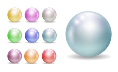 İnci ile açılmış gerçekçi, güzel deniz kabuğu seti ya da yumuşak yumuşakçayla açılmış deniz kabuğu. vektör içer