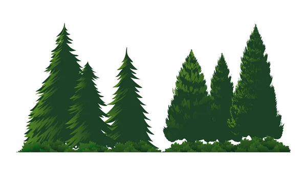 Pinheiros Elemento Vetor Isolado Diferentes Árvores Com Exuberante Folhas Ilustração — Vetor de Stock