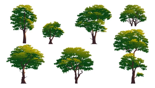 Bäume Vektorelement Isoliert Verschiedene Bäume Mit Üppigen Blättern Illustration — Stockvektor