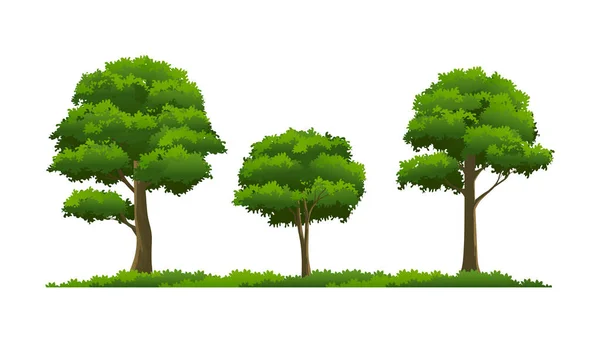 Bäume Mit Üppigen Blättern Kollektion Mit Flachen Stil Vektor Element — Stockvektor