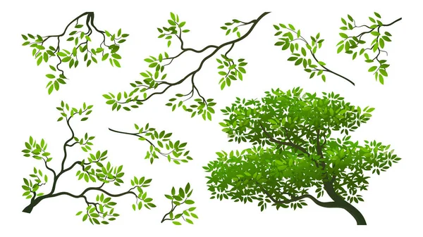 Ramos Com Folhas Ilustração Vetorial Árvores Desenhos Animados Elementos Coleções —  Vetores de Stock