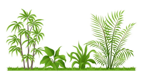 Kolekcje Elementów Tropikalnych Roślin Domowych Takich Jak Liście Palmy Juki — Wektor stockowy