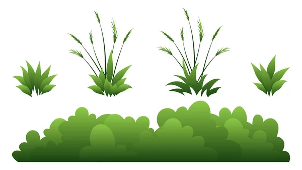 Arbustos Exuberantes Grama Arbustos Folhosos Verdes Design Elemento Natureza — Vetor de Stock