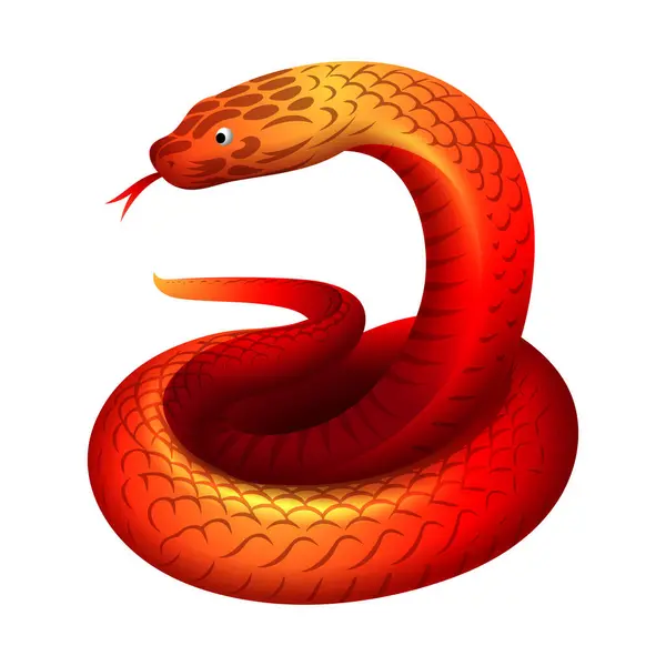 Snake Vector Illustratie Chinese Horoscoop Sterrenbeeld Jaar Van Slang 2025 Rechtenvrije Stockillustraties