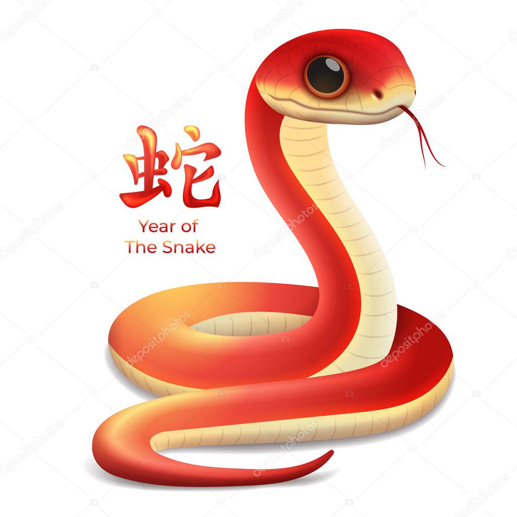 Year of The Snake 2025 Zodiac sign, Chinese new year 2025 snake 3d vector illustration