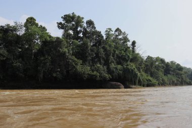 Nehir kıyısı manzarası, Sri Lanka 'daki Kalu Ganga nehrinin kayaları ve ağaçları ön plandaki çamurlu suların manzarası.