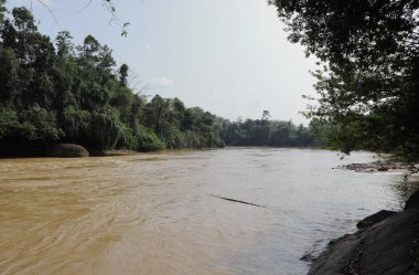 Sri Lanka 'daki Kalu Ganga nehrinin suları besinlerle dolup taşıyor.