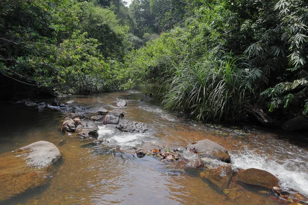 Biflod Sri Lanka Klart Vatten Rinner Mellan Klipporna Flodbädden Gör — Stockfoto