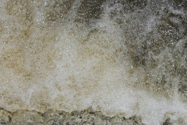 Hızlı akan su, küçük bir derenin su yüzeyinde beyaz köpükleri oluşturur.